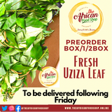 Box of Fresh Ugwu/Bitterleaf/Oha/waterleaf/uziza